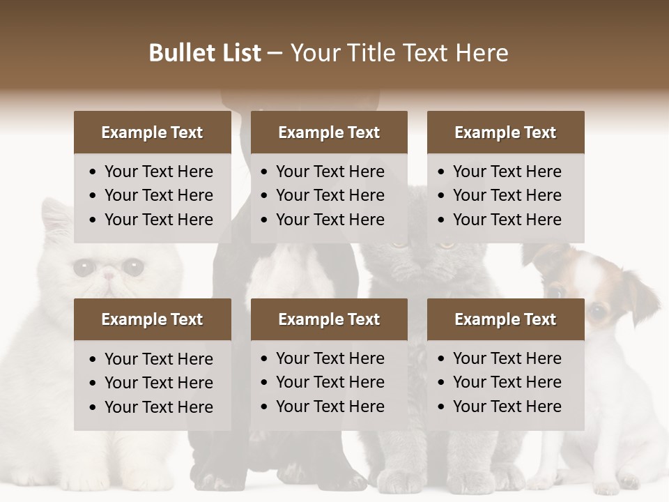 White Animal Mammal PowerPoint Template