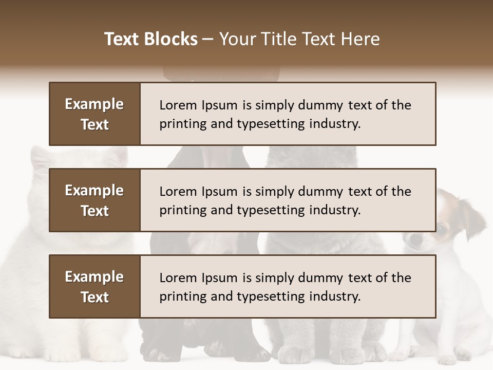 White Animal Mammal PowerPoint Template