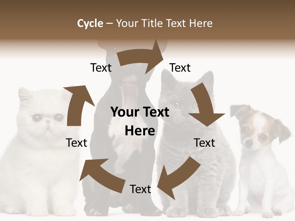 White Animal Mammal PowerPoint Template