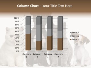 White Animal Mammal PowerPoint Template