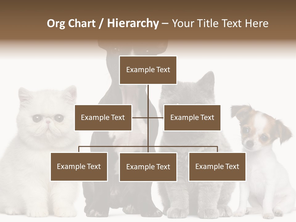 White Animal Mammal PowerPoint Template