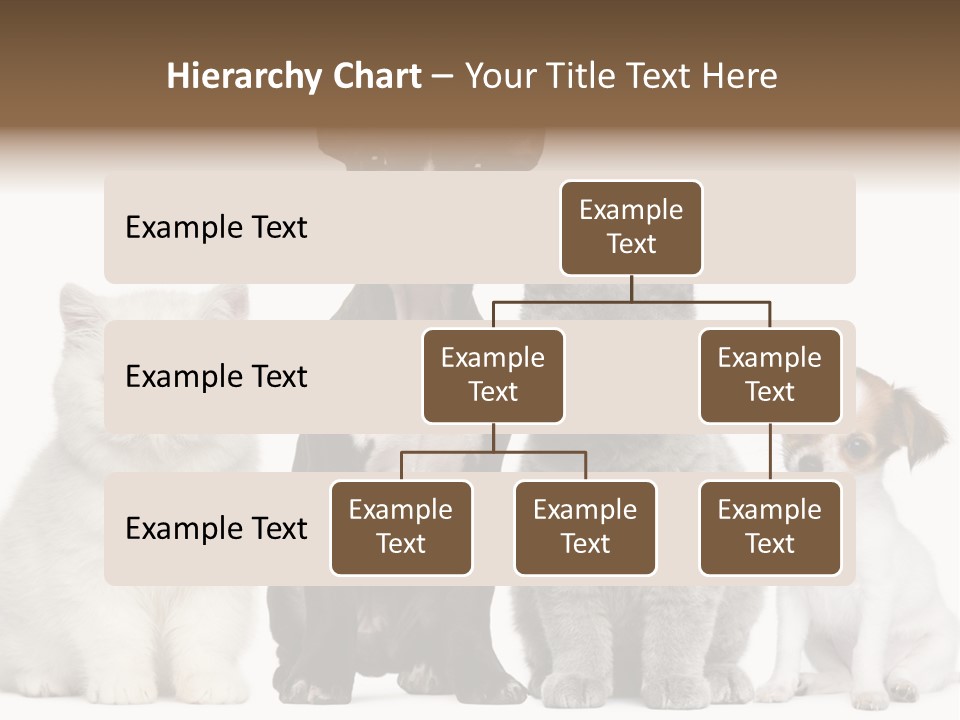White Animal Mammal PowerPoint Template