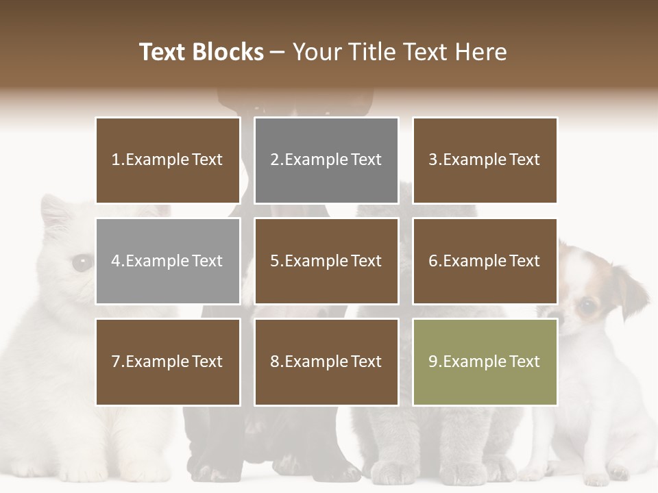 White Animal Mammal PowerPoint Template