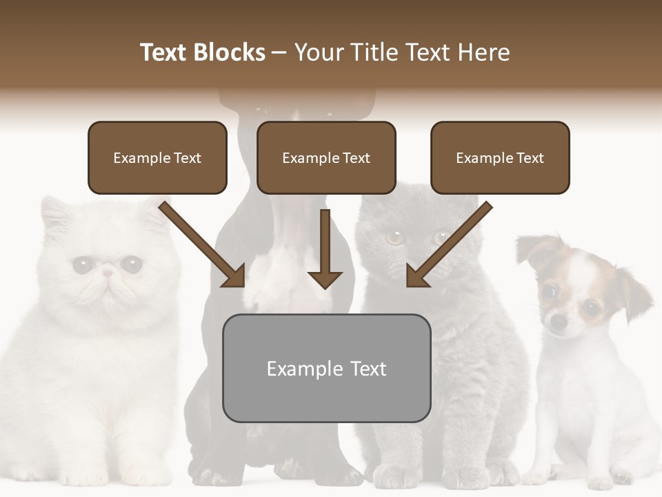 White Animal Mammal PowerPoint Template