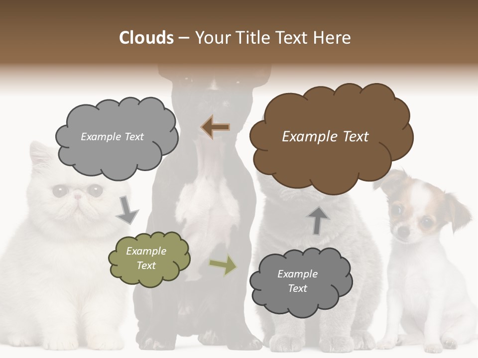 White Animal Mammal PowerPoint Template