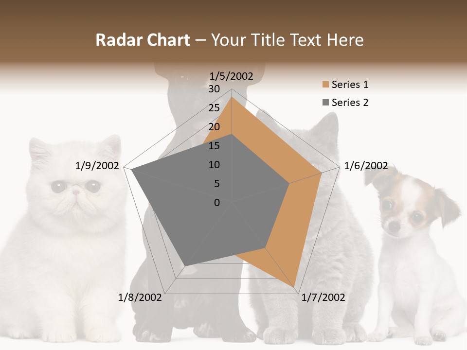 White Animal Mammal PowerPoint Template