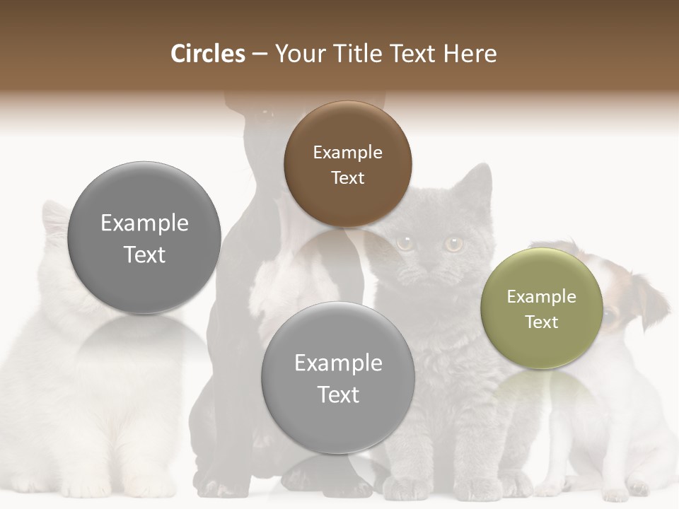 White Animal Mammal PowerPoint Template