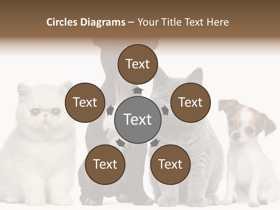 White Animal Mammal PowerPoint Template