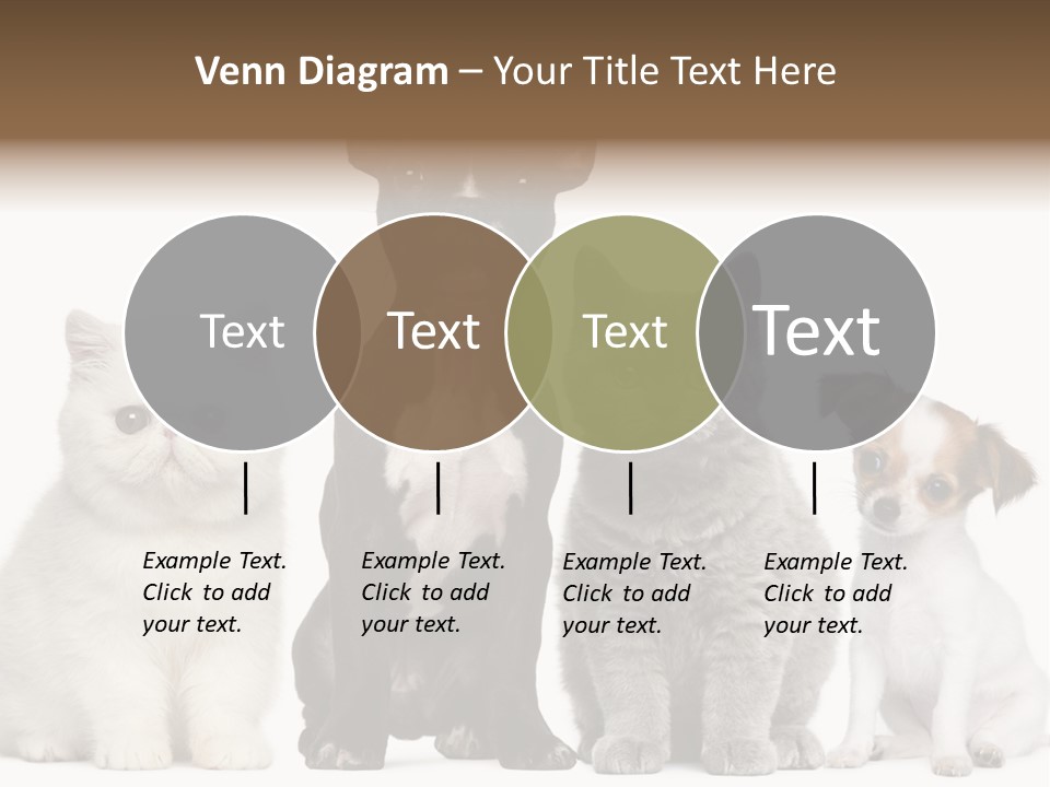 White Animal Mammal PowerPoint Template