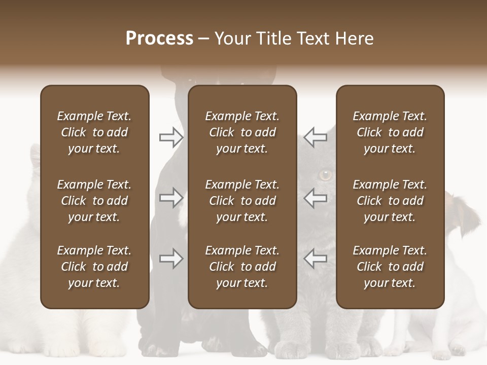 White Animal Mammal PowerPoint Template