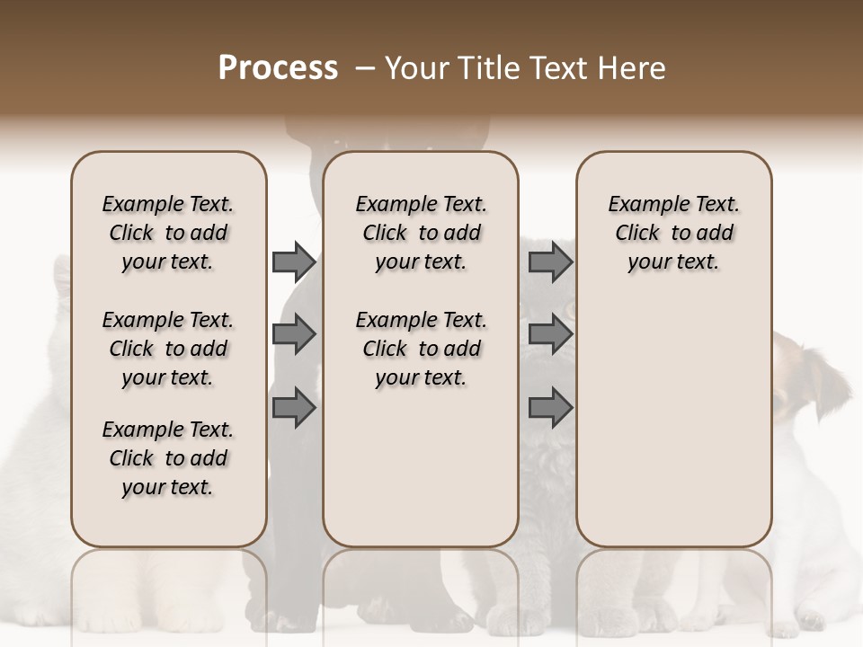 White Animal Mammal PowerPoint Template