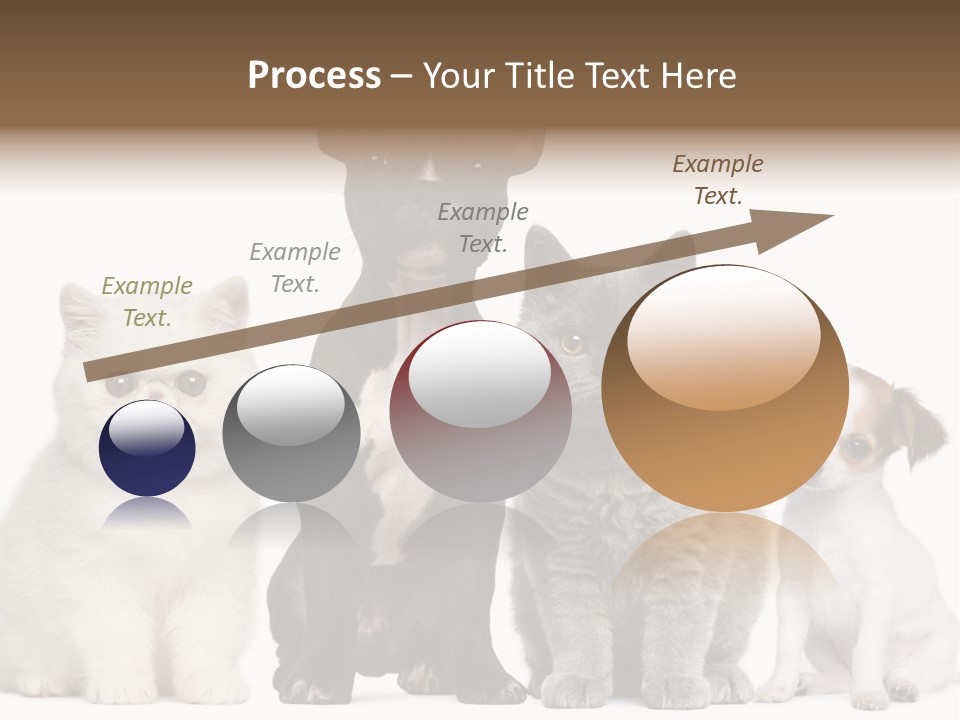 White Animal Mammal PowerPoint Template