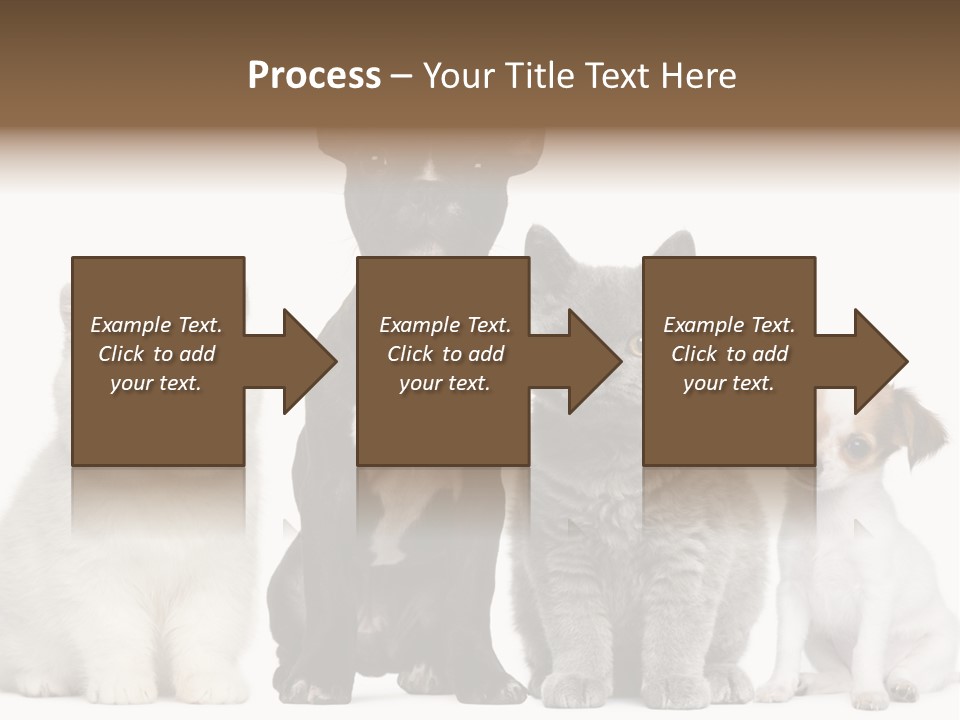 White Animal Mammal PowerPoint Template