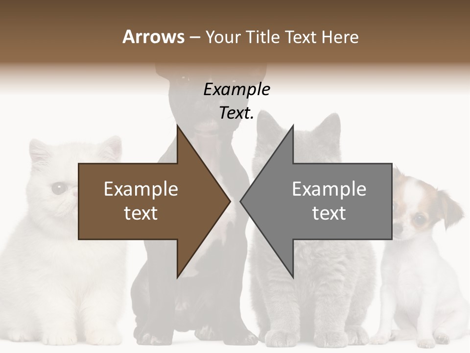 White Animal Mammal PowerPoint Template