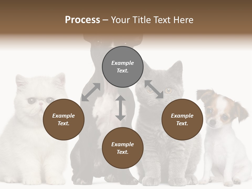 White Animal Mammal PowerPoint Template
