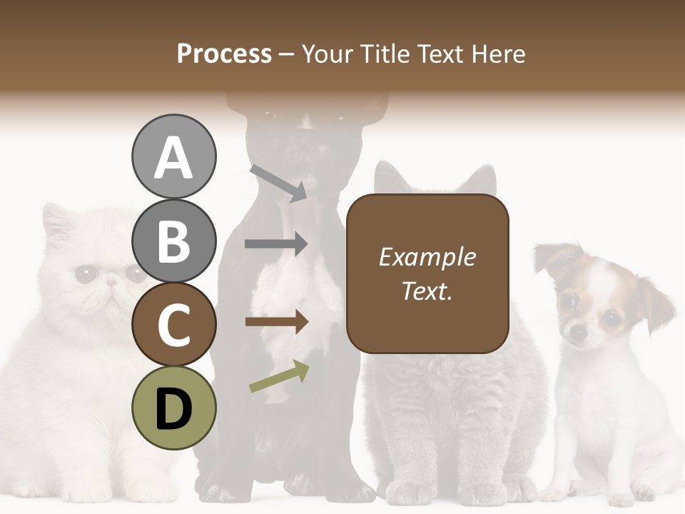 White Animal Mammal PowerPoint Template