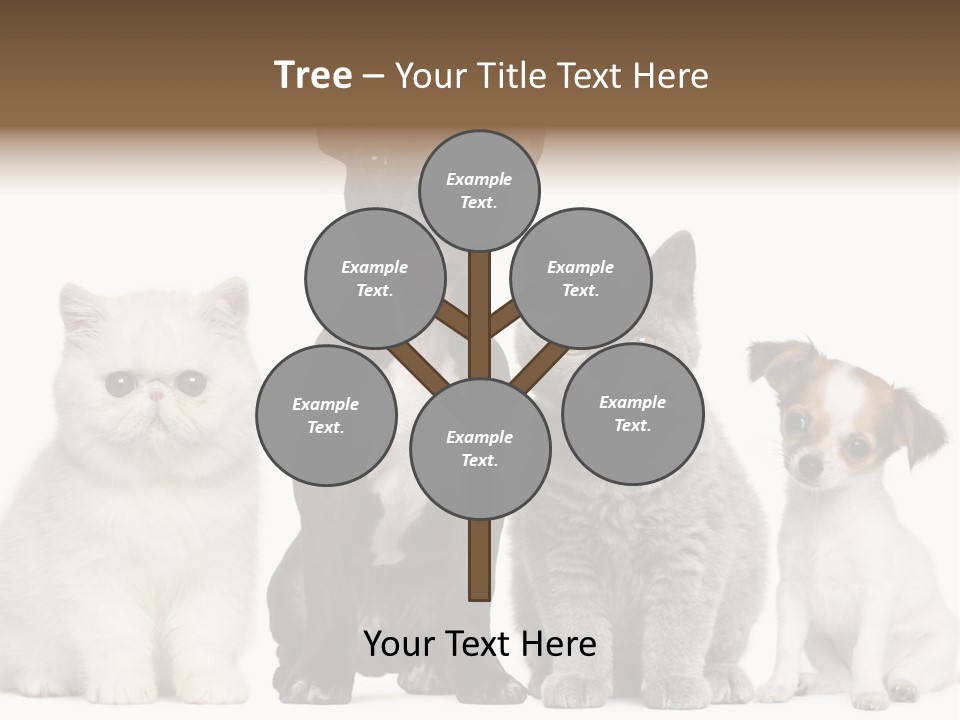 White Animal Mammal PowerPoint Template