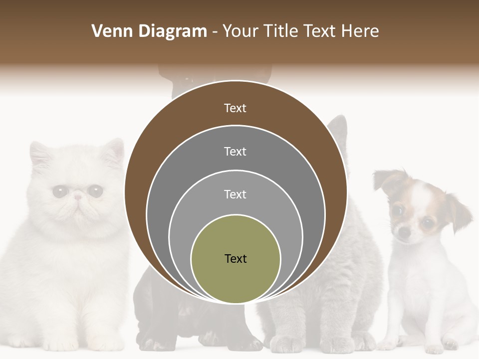 White Animal Mammal PowerPoint Template