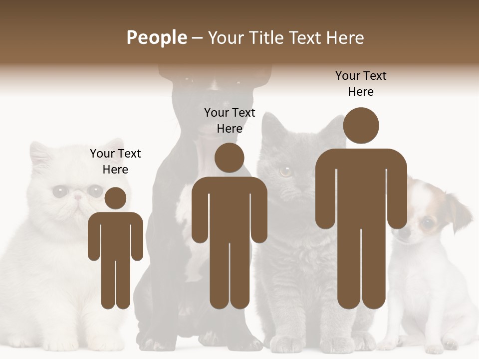White Animal Mammal PowerPoint Template