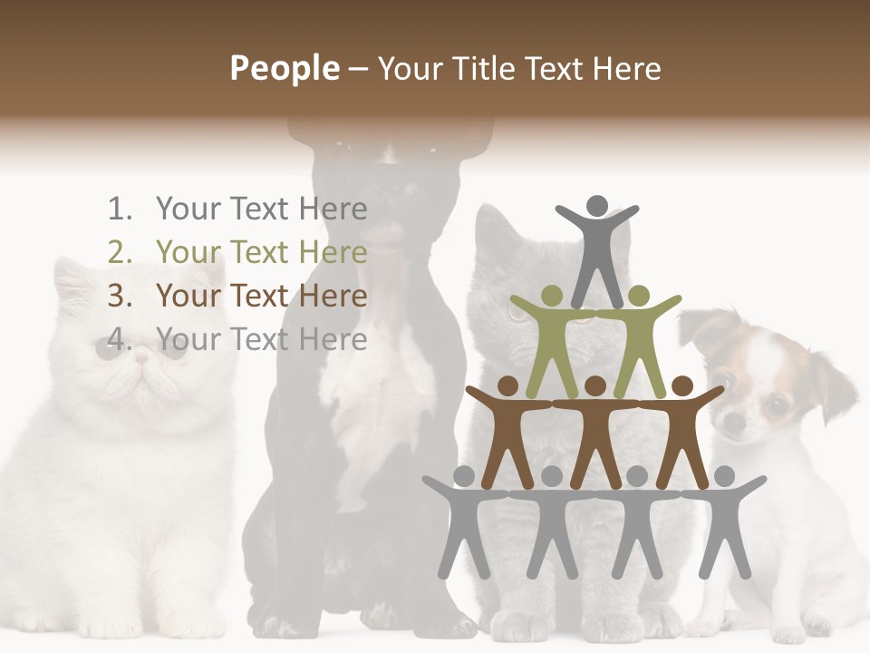 White Animal Mammal PowerPoint Template