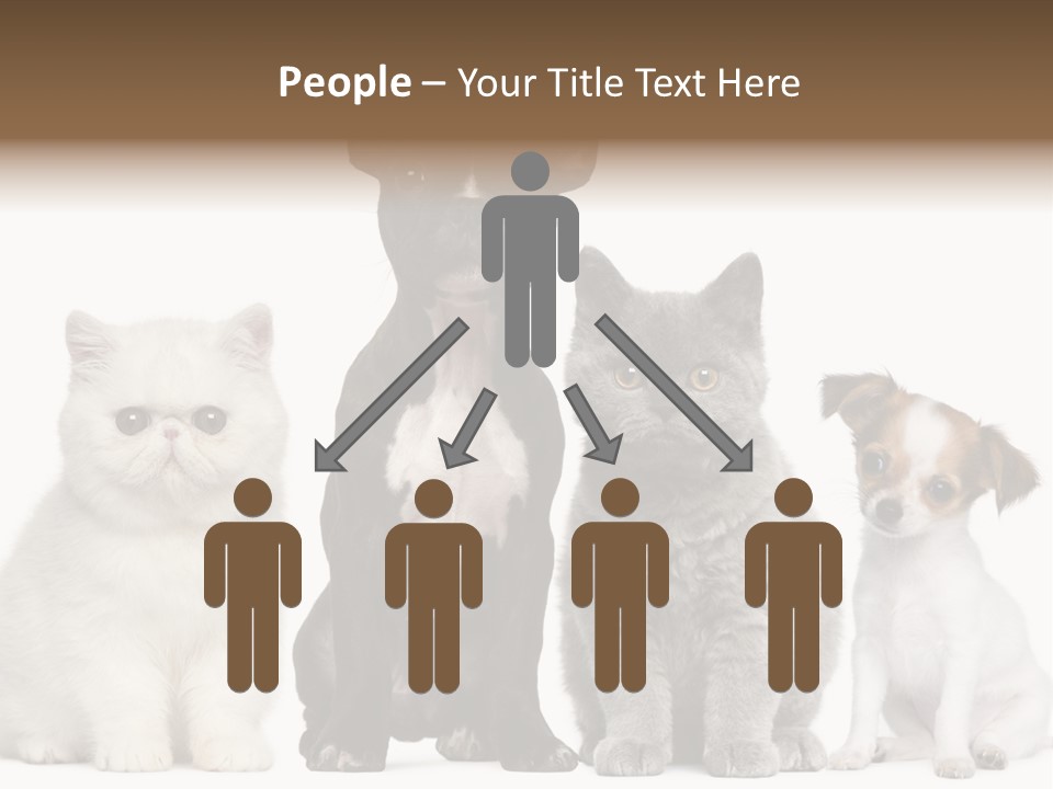 White Animal Mammal PowerPoint Template