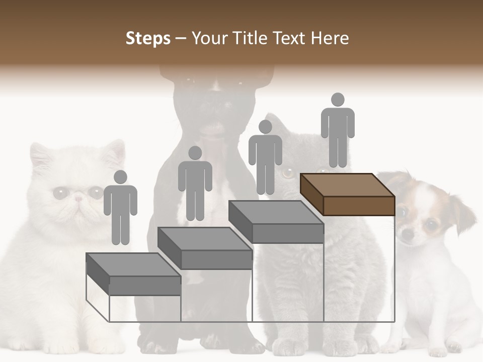 White Animal Mammal PowerPoint Template