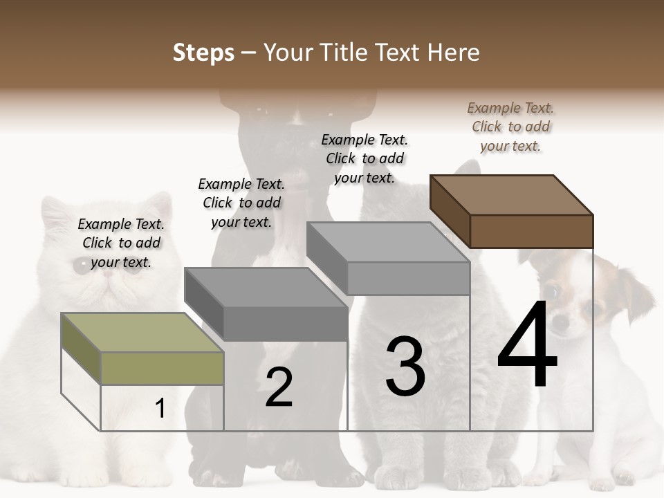 White Animal Mammal PowerPoint Template