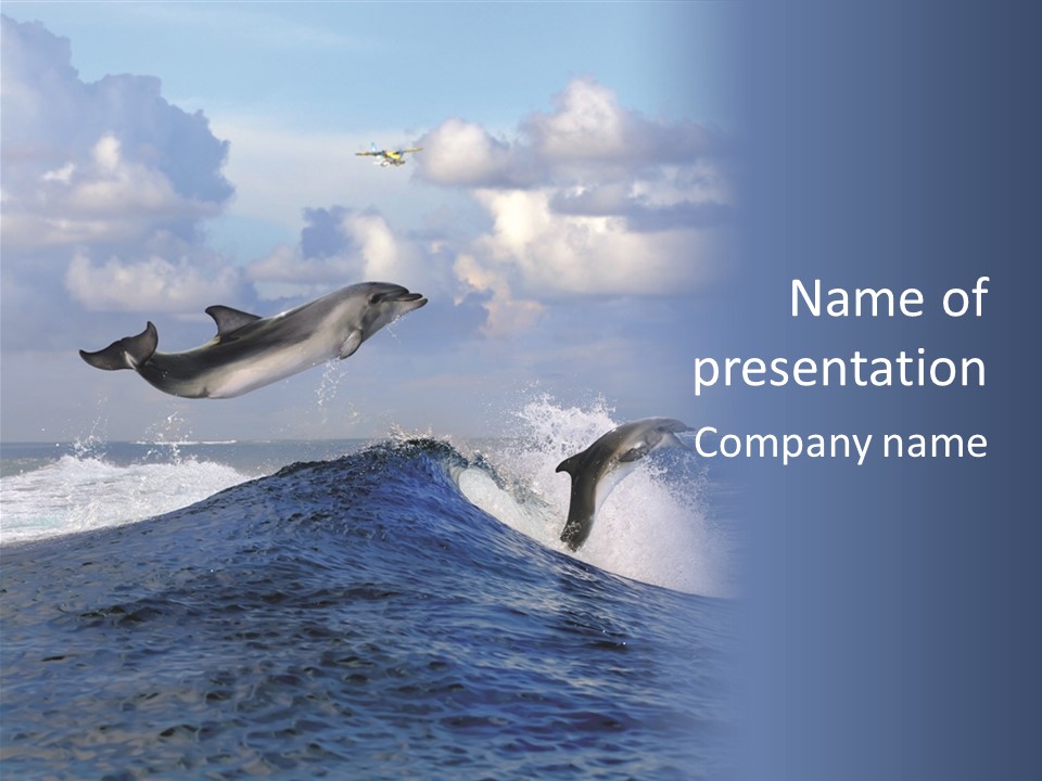 Jumping Dolphin PowerPoint Template