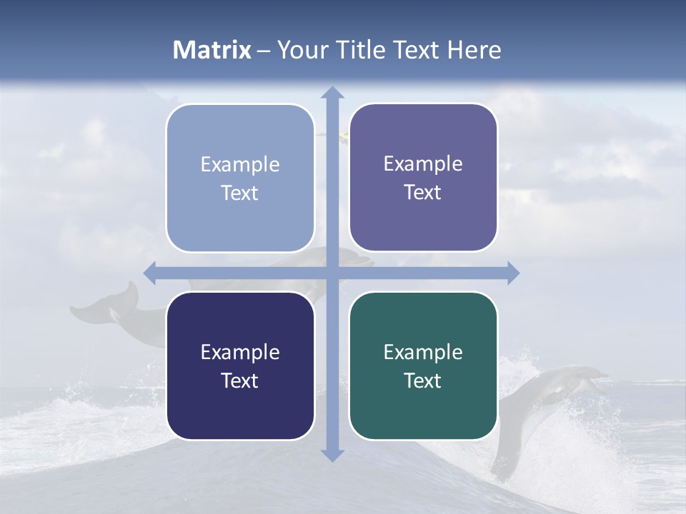 Jumping Dolphin PowerPoint Template