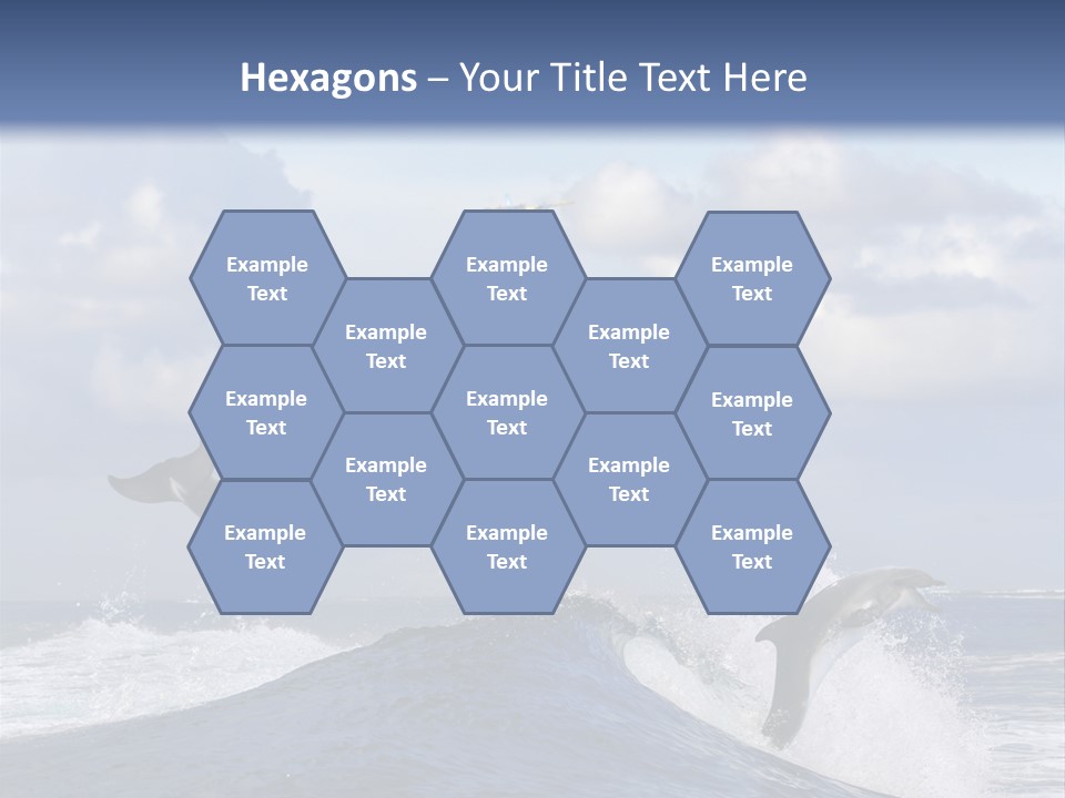 Jumping Dolphin PowerPoint Template