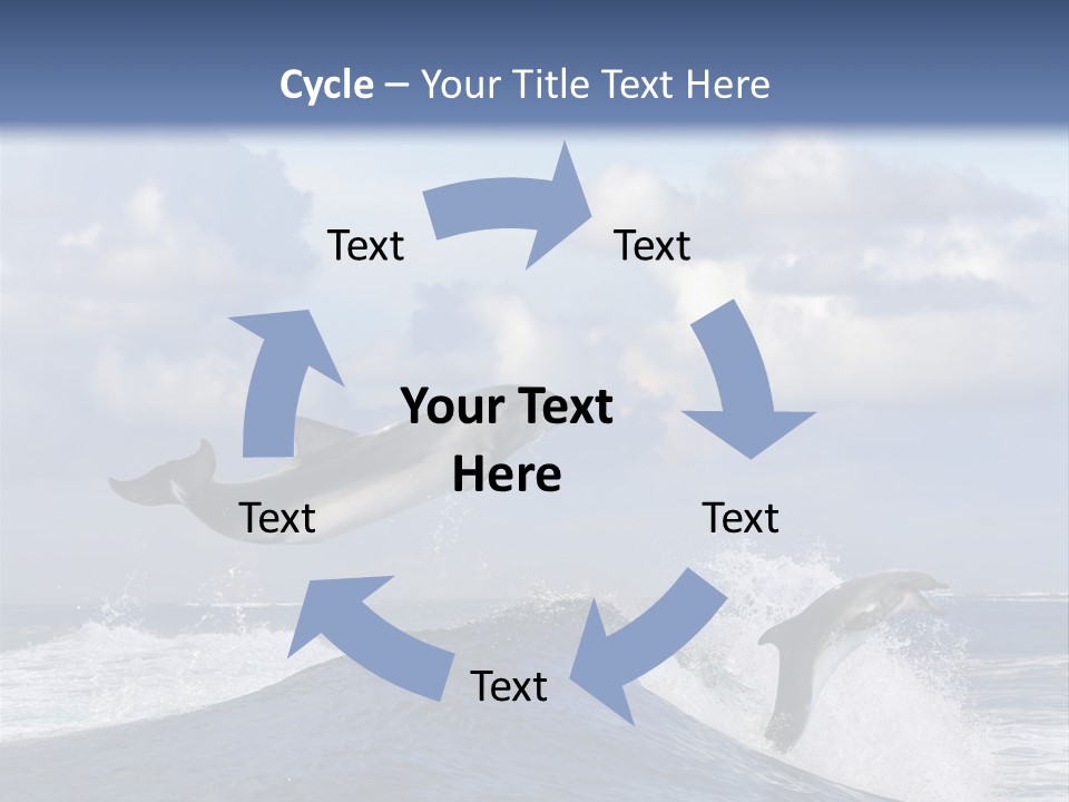 Jumping Dolphin PowerPoint Template