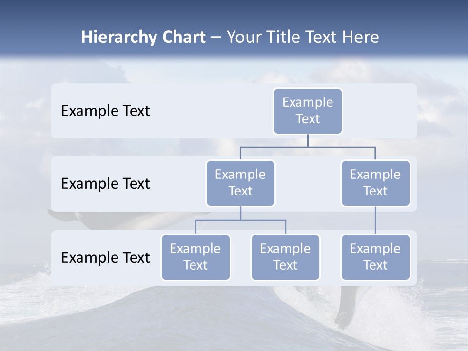 Jumping Dolphin PowerPoint Template