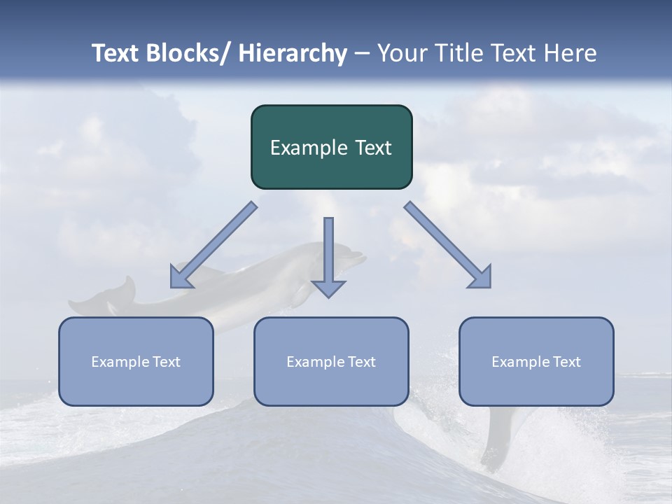 Jumping Dolphin PowerPoint Template