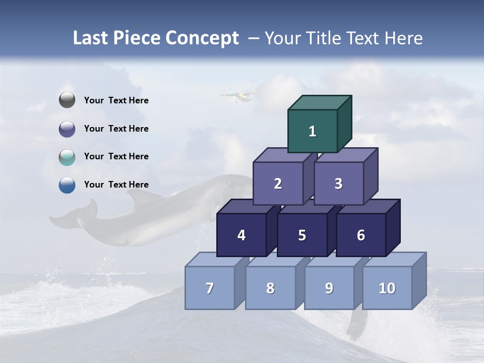 Jumping Dolphin PowerPoint Template