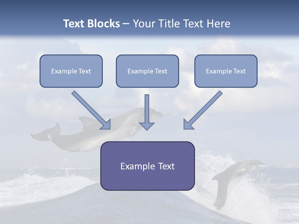 Jumping Dolphin PowerPoint Template