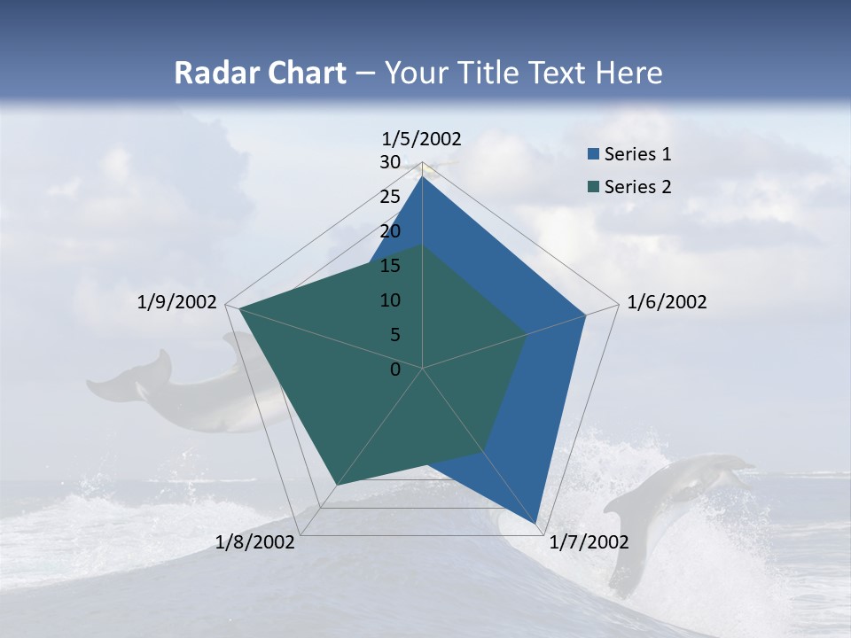 Jumping Dolphin PowerPoint Template