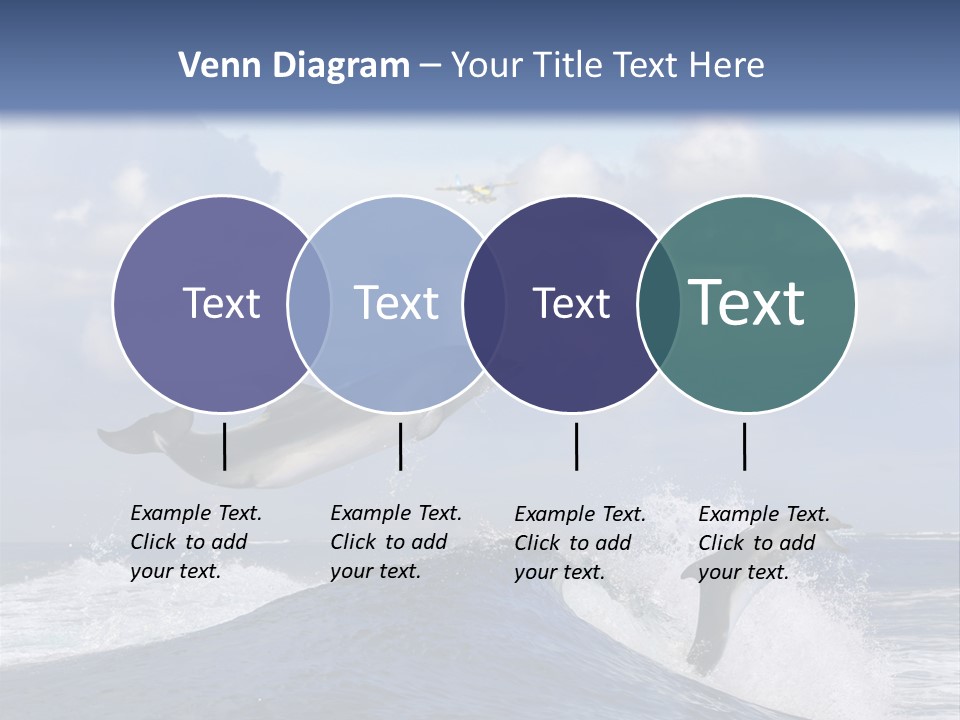 Jumping Dolphin PowerPoint Template