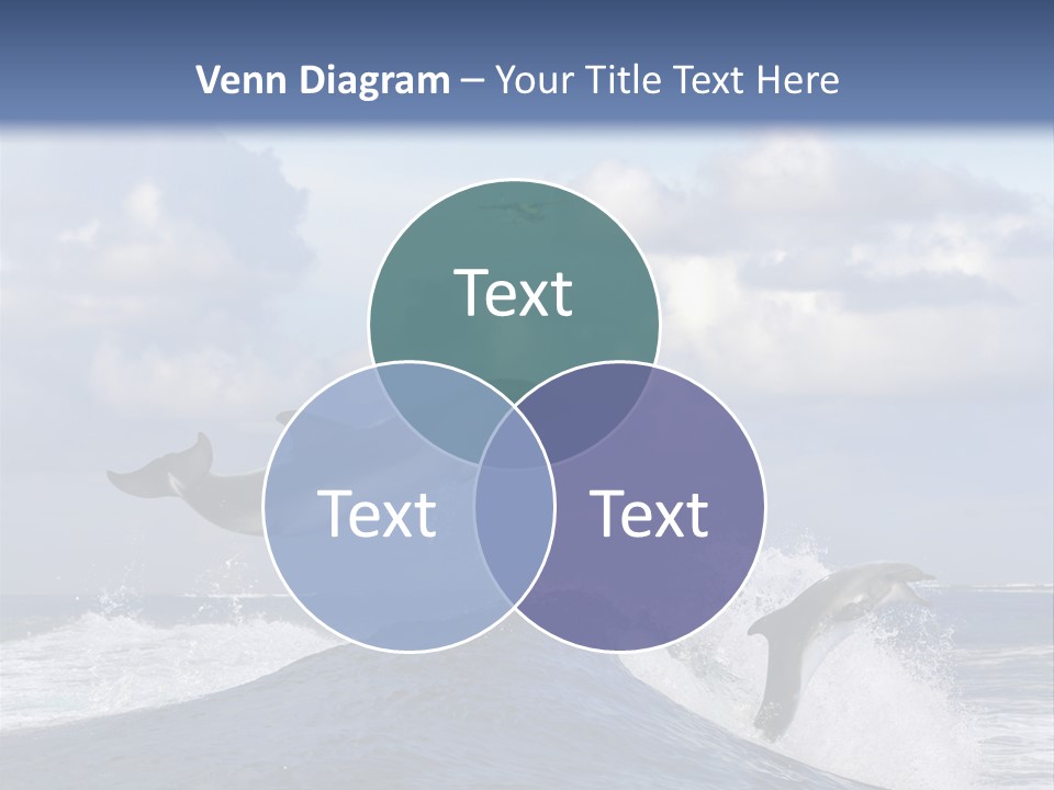 Jumping Dolphin PowerPoint Template