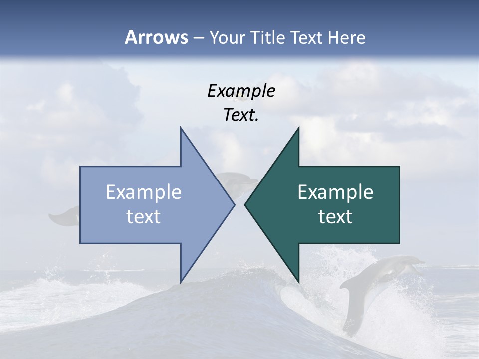 Jumping Dolphin PowerPoint Template