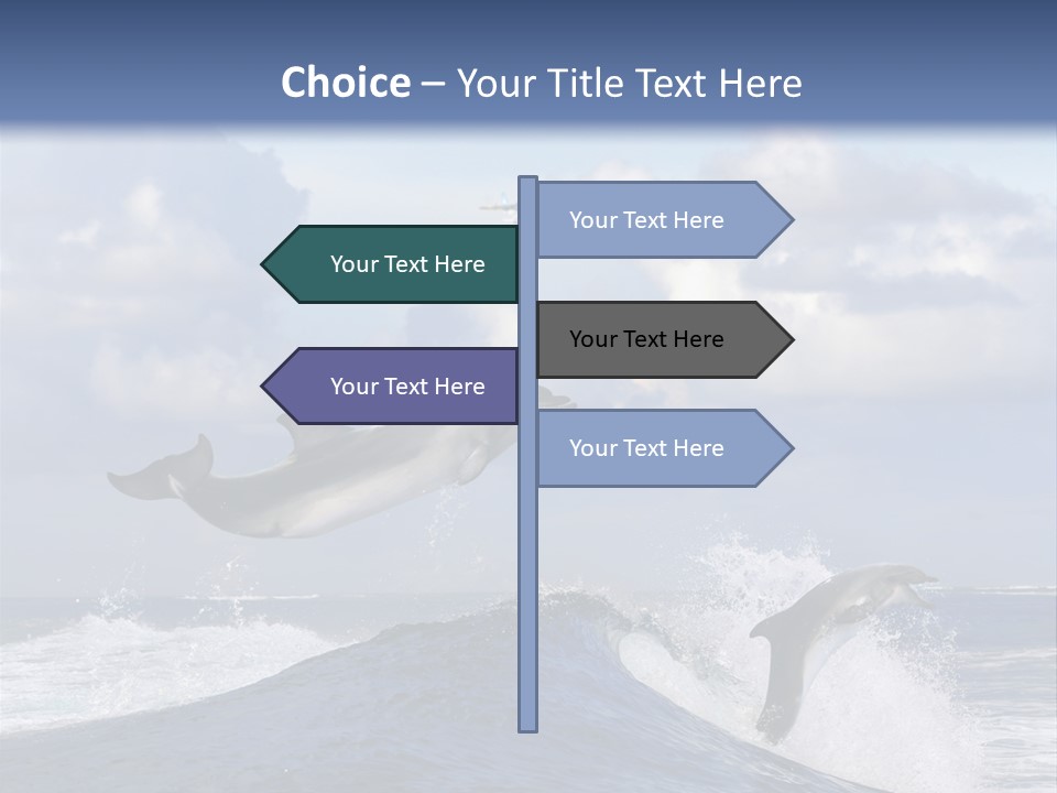 Jumping Dolphin PowerPoint Template