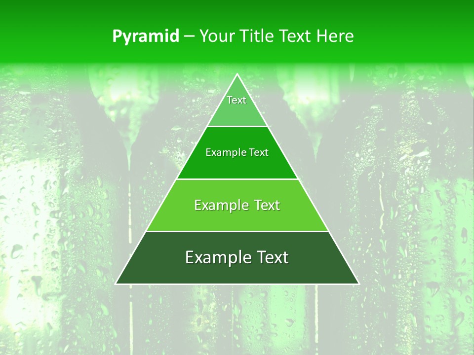 Beer Bottles PowerPoint Template