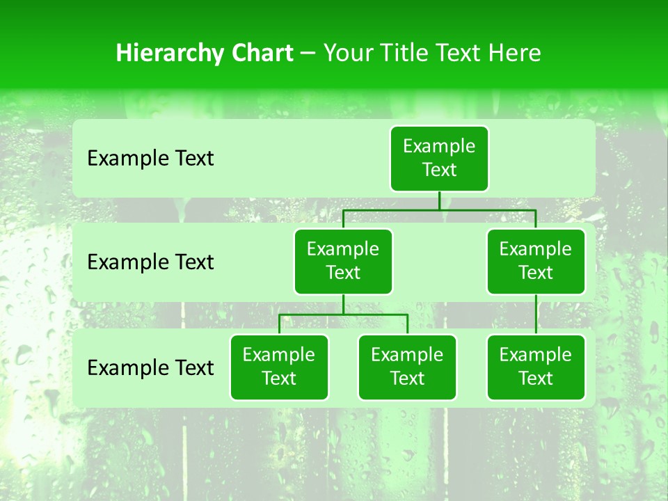Beer Bottles PowerPoint Template