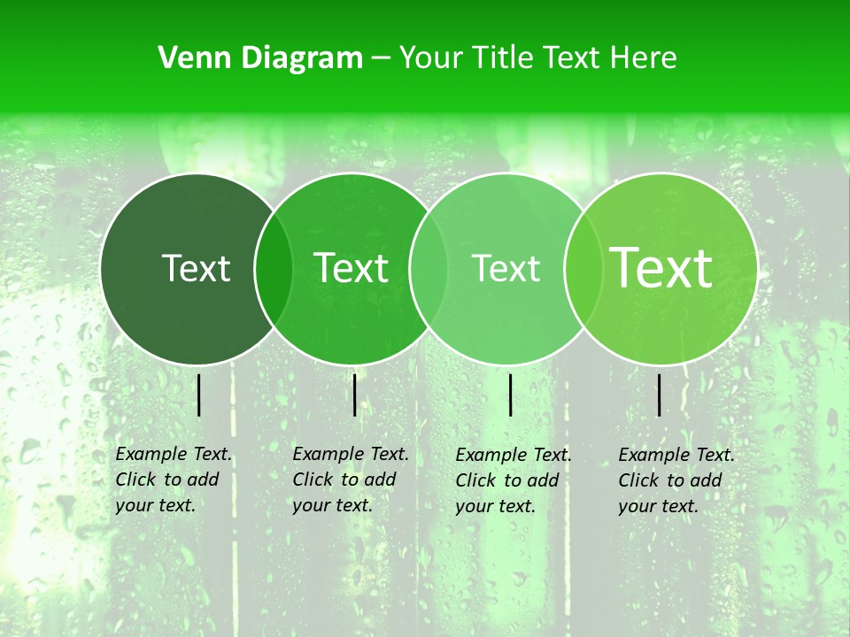 Beer Bottles PowerPoint Template