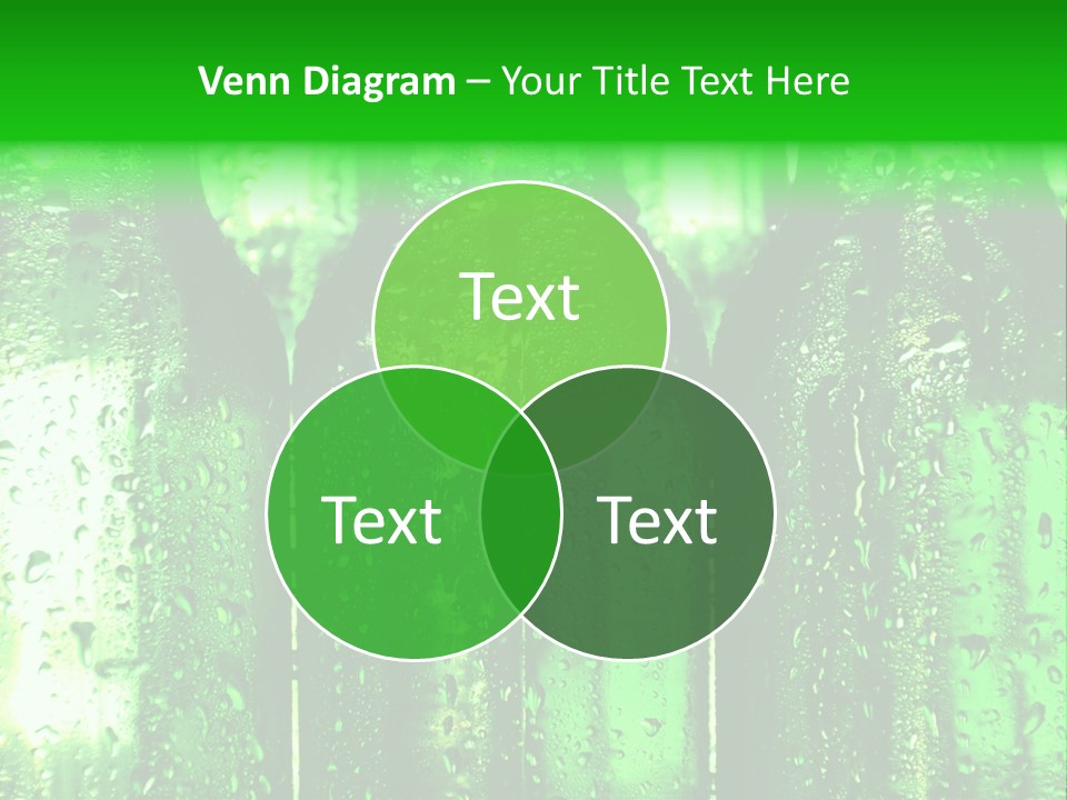 Beer Bottles PowerPoint Template