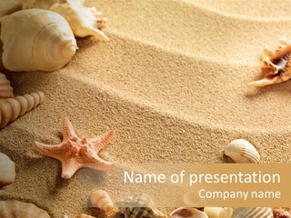 Seashells On Sand PowerPoint Template