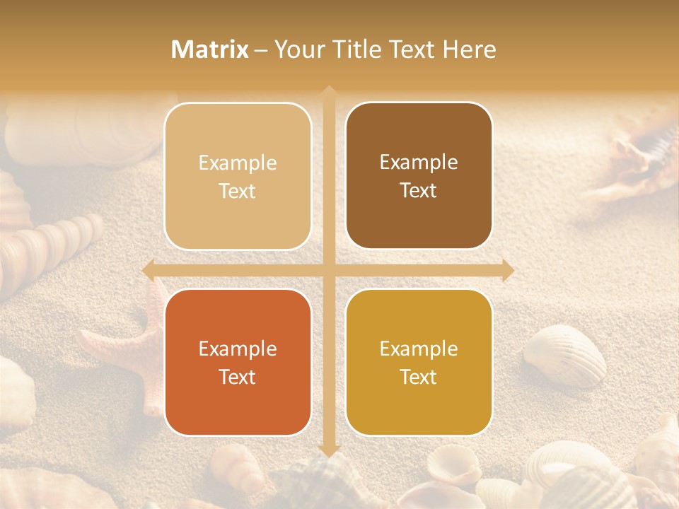 Seashells On Sand PowerPoint Template