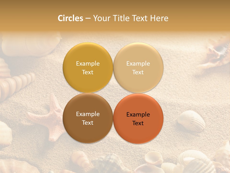 Seashells On Sand PowerPoint Template
