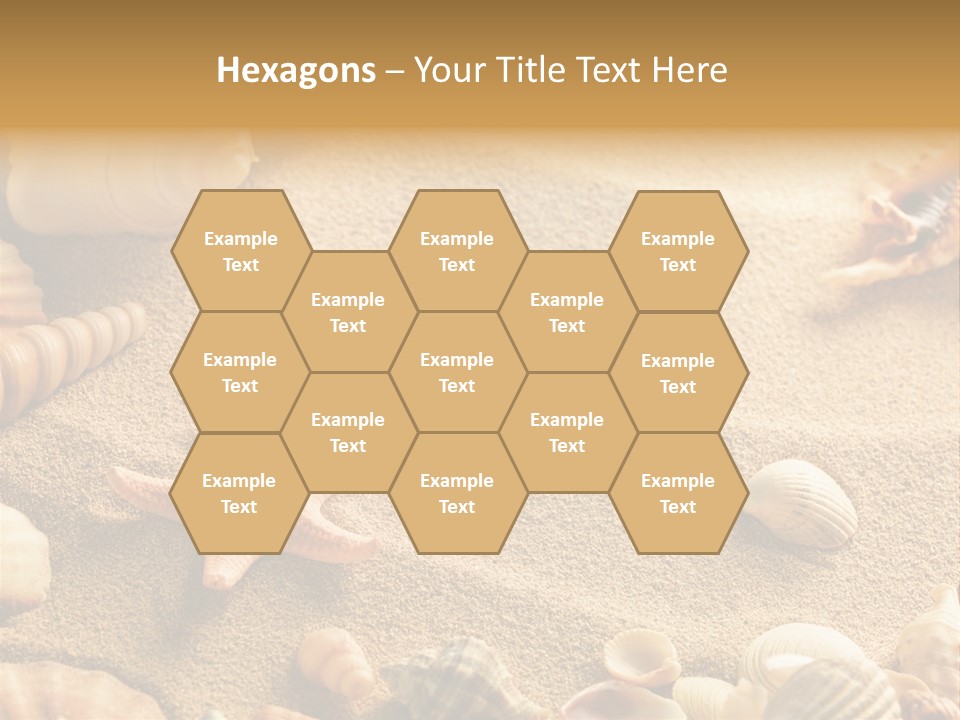 Seashells On Sand PowerPoint Template