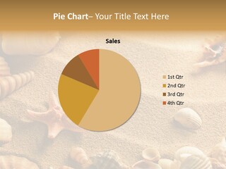 Seashells On Sand PowerPoint Template