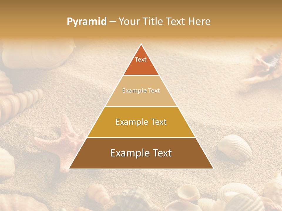 Seashells On Sand PowerPoint Template